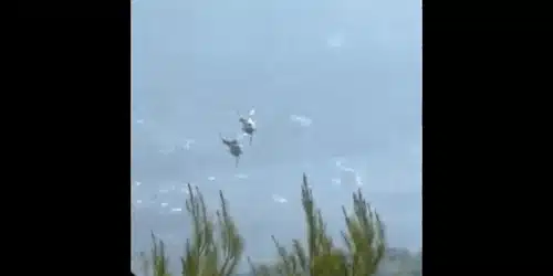 elicoptere piloti romani grecia 3 (1) gif