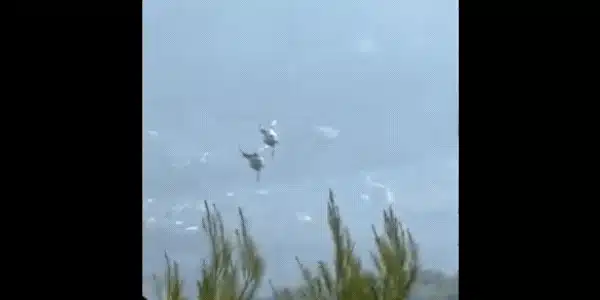elicoptere piloti romani grecia 3 (1) gif