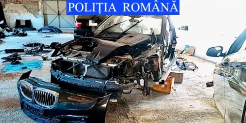 arhivă jpg