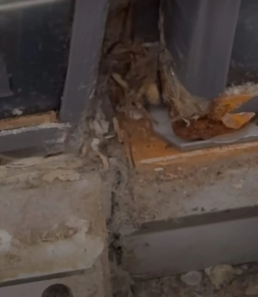 Fostul șef ANPC, imagini șocante dintr-un magazin din Franța. „Pentru ei funcționează alte reguli”