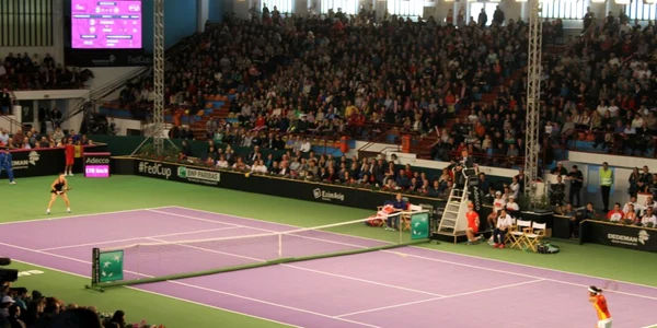 halep