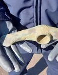 Un topor de aramă, cu o vechime de peste 5.000 de ani, descoperit de un jandarm (foto: Inspectoratul de Jandarmi Județean Botoșani)
