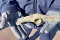 Un topor de aramă, cu o vechime de peste 5.000 de ani, descoperit de un jandarm (foto: Inspectoratul de Jandarmi Județean Botoșani)