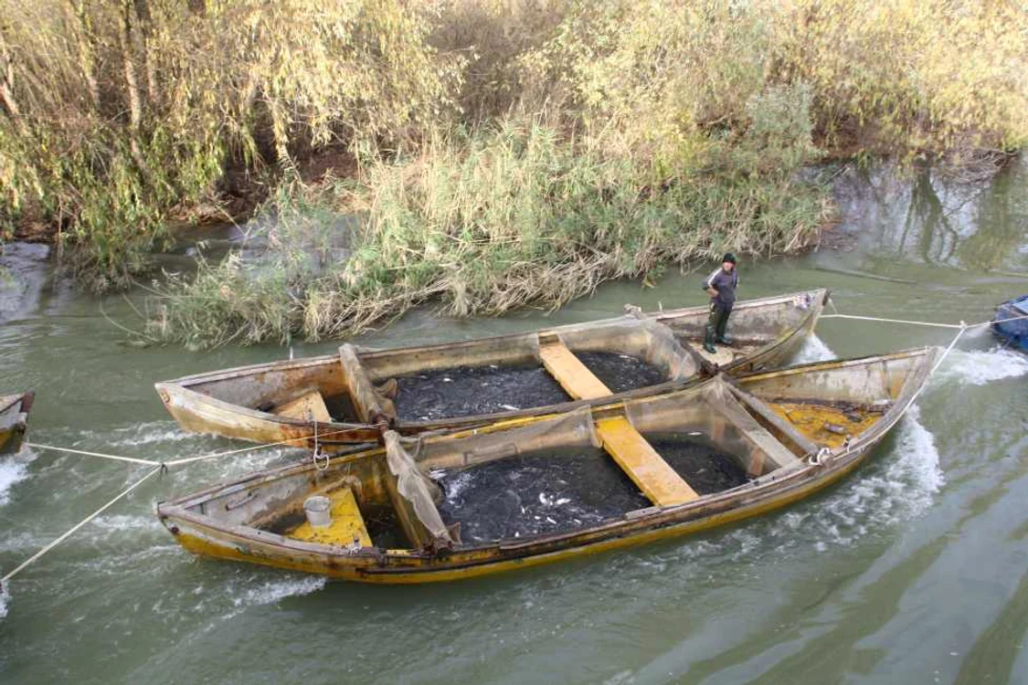 Pescarii vor sa decidă ce se întâmplă cu peştele