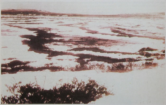 Mlaștinile din Tunguska FOTO eikipedia