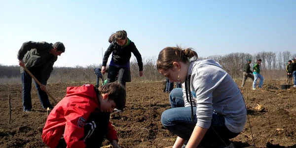 Copiii se ocupă cu bucurie de plantarea copacilor