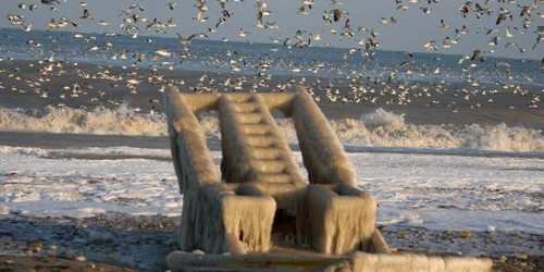 Iarna la Costinești (Foto: Florin Gheorghe)