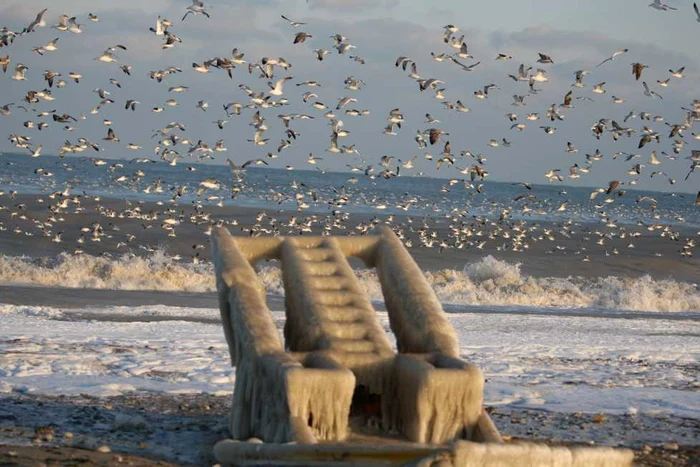 Iarna la Costinești (Foto: Florin Gheorghe)