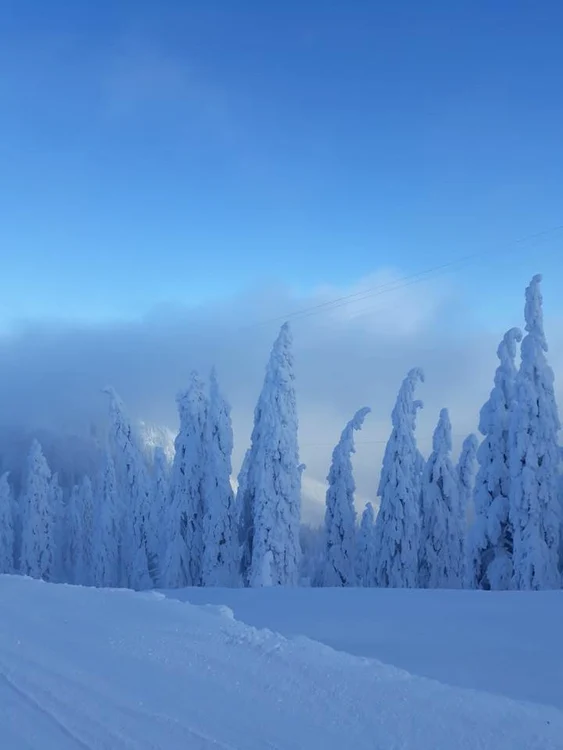Internauții au postat imagini fabuloase de la munte, unde a nins chiar ca în povești
