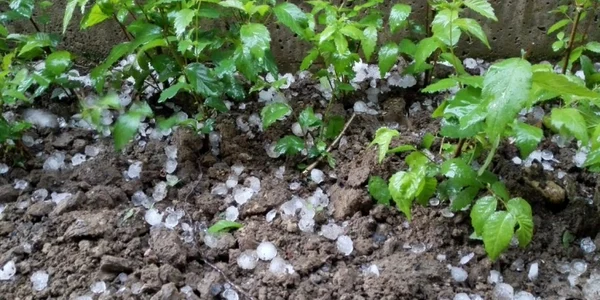 Grindina s-a abătut asupra Clujului. Foto