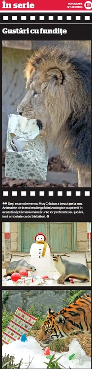 info