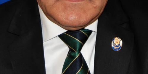 mircea grosaru