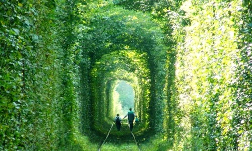 historia ro undefined jpeg