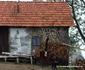 Locul natal al lui Arsenie Boca, unde ar fi fost și casa lui  Foto Daniel Guță ADEVĂRUL (4) JPG