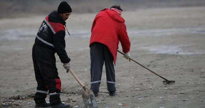 Muncitorii au curăţat plaja de gunoaie