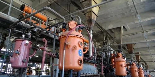 Policolor-Orgachim fabrica rasini ruse FOTO wall-street.ro