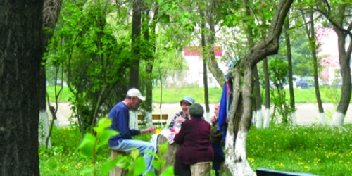 Bacău: Bacăul viitorului, plin de spaţii verzi (CAMPANIE)