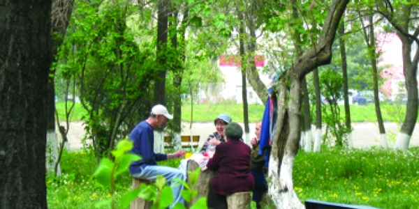 Bacău: Bacăul viitorului, plin de spaţii verzi (CAMPANIE)