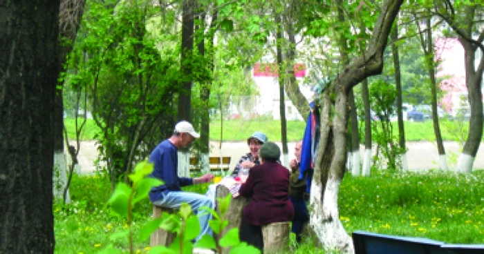 Bacău: Bacăul viitorului, plin de spaţii verzi (CAMPANIE)