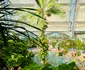 Tropical Islands Resort cel mai mare parc acvatic indoor ca volum din lume în Germania Foto Tropical Islands