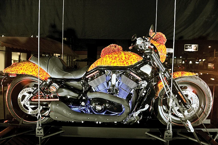 
    Foto: Guliver/Gettyimages/Photoland/Wenn/AFP  