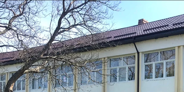 parinti jpg