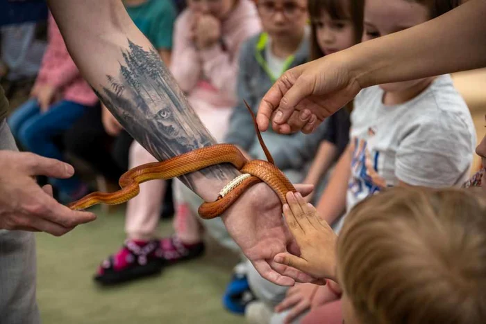 Animalele lui Mark Benedek FOTO arhivă personală