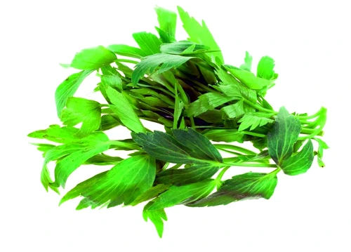 1 47330 original jpg jpeg