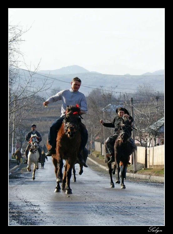 Sărbătorile de iarnă se încheie cu întrecerea cailor