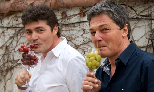 "Vinul poate transforma România" interviu cu Cătălin PĂDURARU, critic de vin jpeg