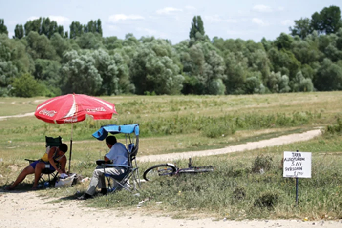 Timişoara: Taxă de plajă în weekend pentru o păşune comunală (GALERIE FOTO)