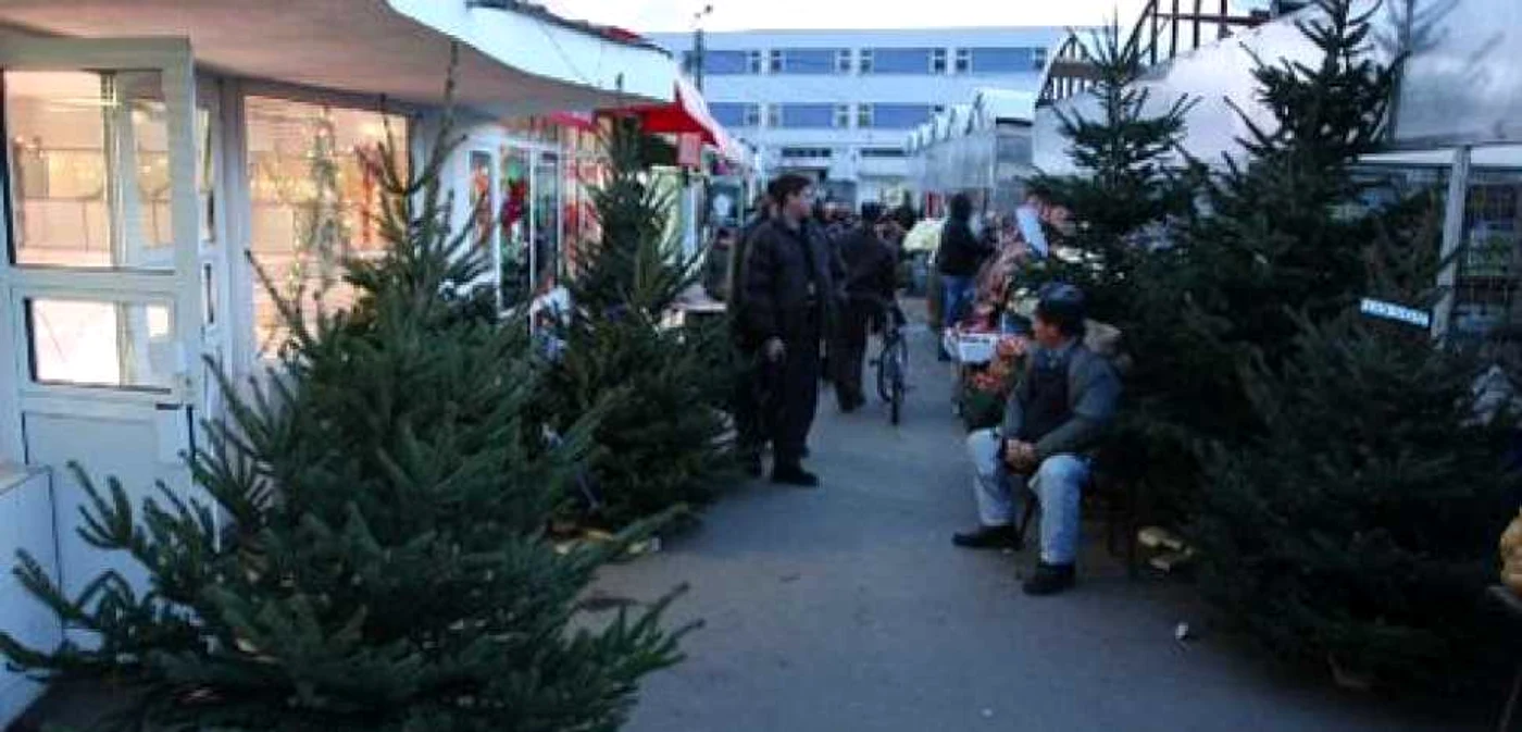 Comercianţii de pomi de Crăciun sunt supravegheaţi şi de poliţie
