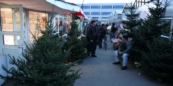 Comercianţii de pomi de Crăciun sunt supravegheaţi şi de poliţie