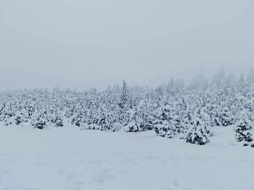 Curmătura Vidruţei din apropierea Domeniului Schiabil Transalpina Ski Resort transformată în derdeluş pârtiile fiind închise Foto Ciprian Olaru