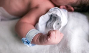 shutterstock 417576595 jpeg