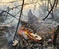Incendiu Cernobîl FOTO EPA-EFE / Yaroslav Yemelianenko
