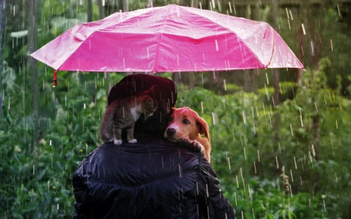 Vreme se strică în toată ţara FOTO Shutterstock