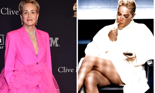 FotoJetBasic roz jpg