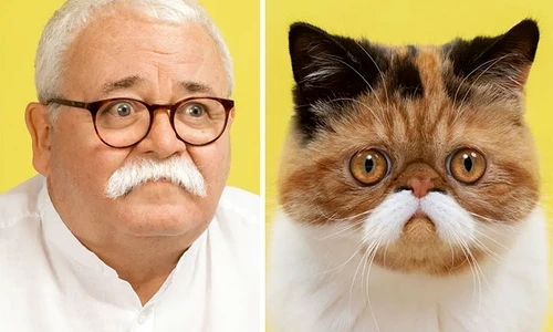 17 9 5f855ad988d0e 700 jpg jpeg