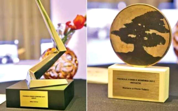 Cele două modele de trofee de la Gala Forbes