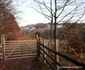 cetatea dacica piatra rosie foto adevarul daniel guta