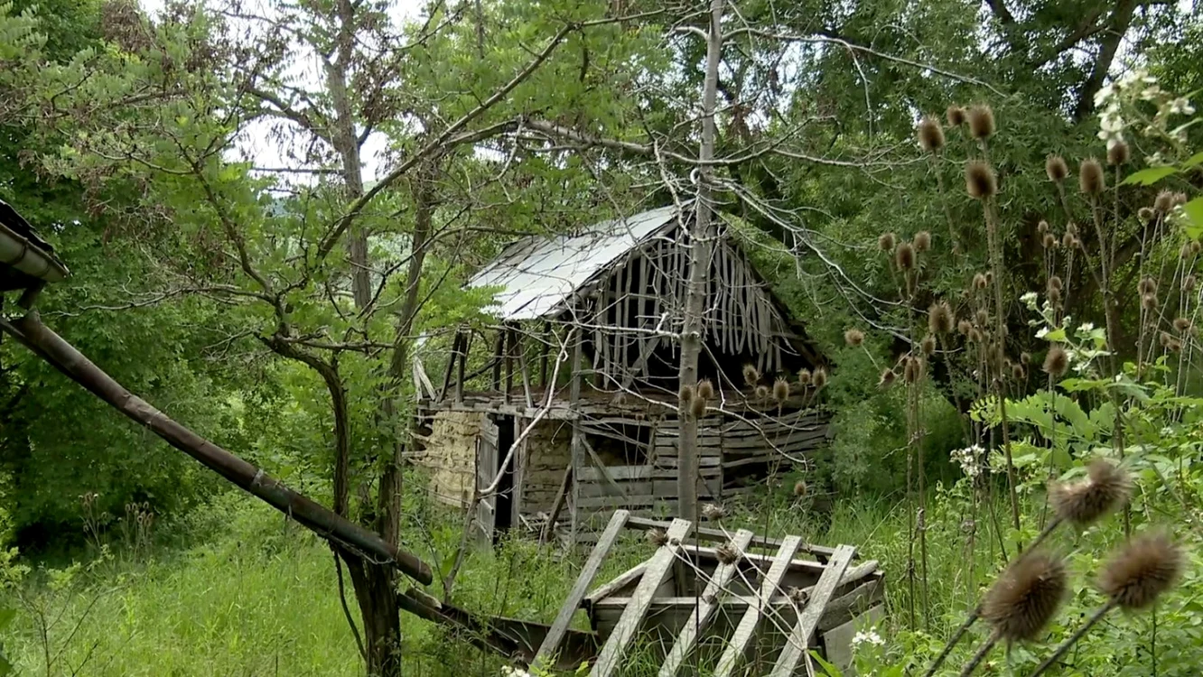 Casele şi grajdurile sunt năpădite de vegetaţie  Foto I. Bunilă