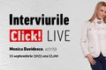 visual monica davidescu click live png