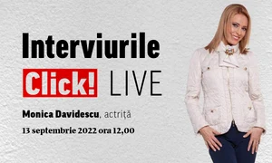 visual monica davidescu click live png