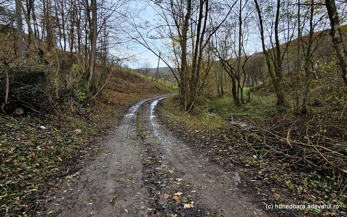 Muntii Metaliferi Mada, Stăuini, Cheile Madei  Foto Daniel Guță ADEVĂRUL (139) jpg