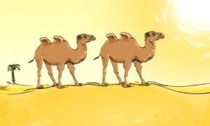 camile jpg