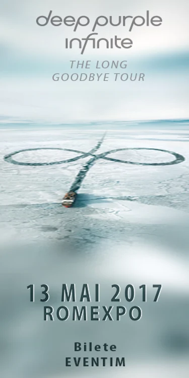 300x600 DP copy jpeg