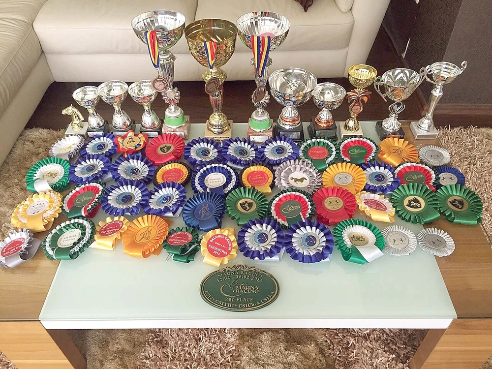Anne Marie a câştigat împreună cu Gloria o colecţie  impresionantă de trofee şi medalii