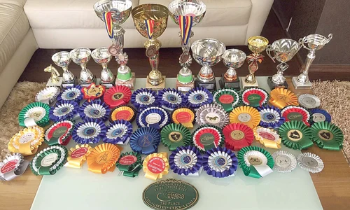 Anne Marie a câştigat împreună cu Gloria o colecţie  impresionantă de trofee şi medalii jpeg