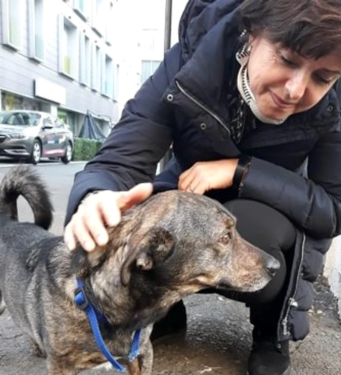 
    Cristiana Copos s-a atașat foarte tare de maidanezul Max  